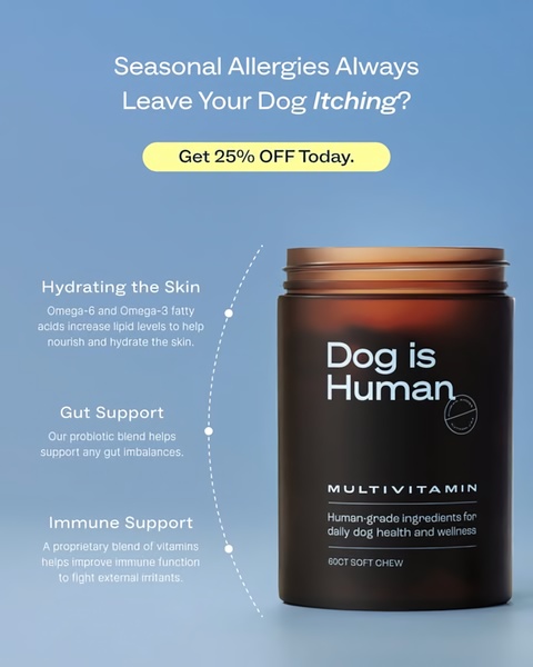 A 4:5 ratio ad for a dog multivitamin that uses a clean, minimalist design to highlight product benefits for skin, gut, and immune health.